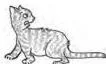 Guess whose tail is the longest.