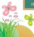 Through frequent and regular repetition, reinforce the English names of the animals, birds and insects.