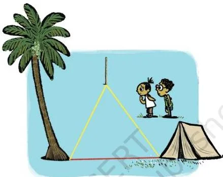 A tent, a tree and a pole on a plot of land, with the direct red path from tent to tree shorter than the yellow path through the pole