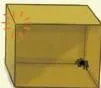 A cardboard box with a spider in one corner and its target marked in the opposite corner, with surface paths to compare