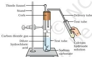 Passing carbon dioxide gas through calcium hydroxide solution
