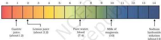 PH of some common substances shown on a pH paper (colours are only a rough guide)