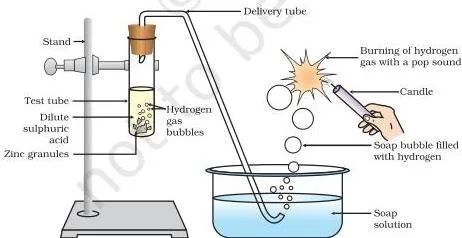 Reaction of zinc granules with dilute sulphuric acid and testing hydrogen gas by burning