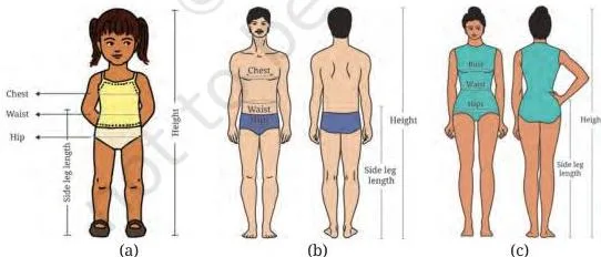 Body-diagram outlines of a child, adult male and adult female with measurement points marked for stitching apparel