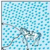 8. A horse is tied to a peg at one corner of a square shaped grass field of side 15 m by means of a 5 m long rope (see Fig. 11.8).