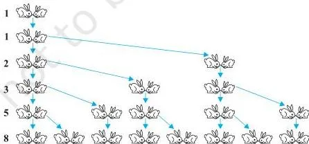 Rabbit pairs counted month by month as 1, 1, 2, 3, 5, 8, a Fibonacci pattern where each number is the sum of the two before it and the differences never stay constant