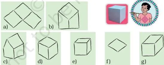 These are their drawings.