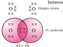 Two oxygen atoms sharing two pairs of electrons, the double bond that completes both atoms' outer shells
