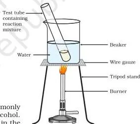 Laboratory set-up for ester formation with a test tube warmed in a water bath as described in Activity 4.8