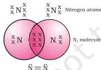 Two nitrogen atoms sharing three pairs of electrons, the triple bond that completes both atoms' octets