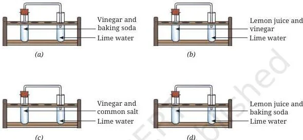 Four laboratory set-ups labelled (a) to (d) from the end exercise, each arranged to test whether lime water turns milky