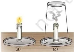 Candle (a) burning (b) covered with a glass tumbler