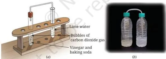 A test tube where vinegar and baking soda fizz, with the gas bubbles being passed through lime water
