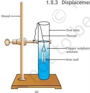 (a) Iron nails dipped in copper sulphate solution