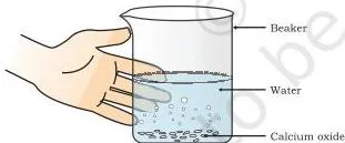 Formation of slaked lime by the reaction of calcium oxide with water