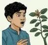 The wondrous beauty of nature, the scene that triggers adbhuta, wonder and amazement
