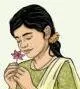 A garden scene of flowers whose fragrance brings the emotion śhringara, love and attraction