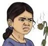 Decaying plants giving out a pungent smell, the scene that triggers bibhatsa, disgust