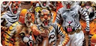 A Pulikali performer in full tiger body paint and a tiger mask, moving in a ferocious crouched stance