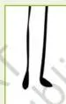 Stick figure showing the heel of one foot placed in front of the standing foot and then to its side, teaching the heel-front and heel-side positions