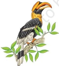 An illustration for the Hornbill festival at Kisama village near Kohima in Nagaland, used in the group research activity