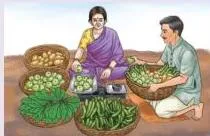 A vegetable seller using a pan balance
