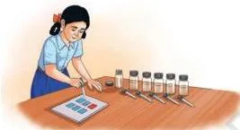 (a): Colour change in blue litmus paper