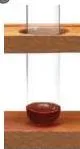 A test tube of diluted lemon juice with blue litmus solution, the liquid having turned red