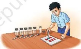 (b): Colour change in red litmus paper