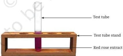 Test tube containing the red rose extract