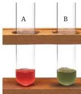 The changes in colour of the red rose extract on adding lemon juice (A) and soap solution (B)