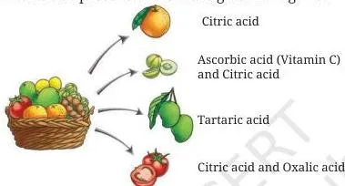 The most common acids present in some edible substances