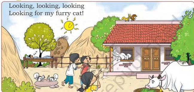 Looking for my furry cat!