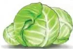 This is a _.