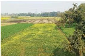 Multi-cropping in Uttar Pradesh