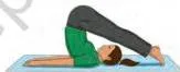 Small illustration of the yogasana Makarasana, paired with its benefit of relaxing the body and mind