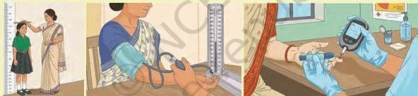 Measuring health parameters such as height, blood pressure and blood sugar level during a health check