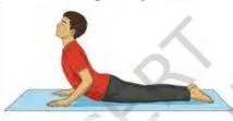 Small illustration of the yogasana Tadasana, paired with its benefit of improving posture