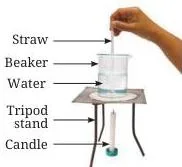 A beaker of water with a grain of potassium permanganate resting at the centre of its base and a candle placed below the beaker