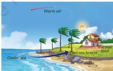 Daytime coastal scene where warm air rises above the heated land and cooler air moves in from the sea towards the land