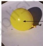 A partially inflated balloon placed in sunlight expanding as the air inside warms up and takes more space