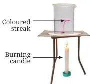 A coloured streak of water rising in the middle of a heated beaker and sinking down at the sides, showing convection currents in water