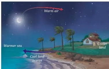 Night coastal scene where the land has cooled faster, warmer air rises above the sea, and cooler air moves from the land towards the sea