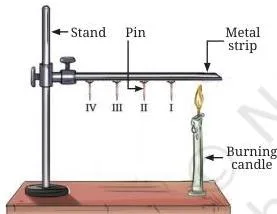 Four pins stuck with wax at nearly equal spacing along a metal strip, with a candle heating one end so the nearest pin falls first as heat travels along the strip