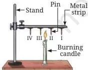 Pins stuck with wax on a metal rod with a burning candle kept below, the pins nearer the flame dropping before those farther away