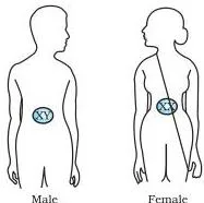 As Fig. 8.6 shows, half the children will be boys and half will be girls.