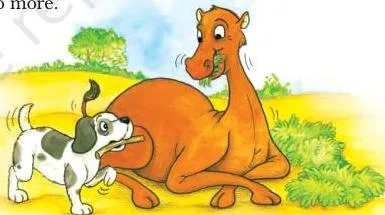 A dog carrying a stick in his mouth approaches the camel in the desert, the moment the dog asks the camel to fetch and carry