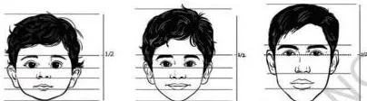 Faces laid out from babyhood to adulthood in the proportions figure, showing how facial proportions change as a person grows