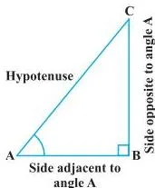 Right triangle ABC with acute angle A at A, showing which side faces the angle and which side lies along it