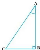 In this section, we will prove one trigonometric identity, and use it further to prove other useful trigonometric identities.